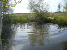 Природа манит – Фото 1