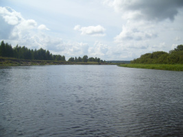 Природа манит – Фото 2