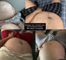 Ищу пузатого медведя или чабба – Фото 1