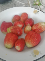 Приятная пара МЖ познакомиться с девушкой  – Фото 1