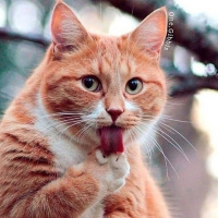 Секс разврат – Фото 1