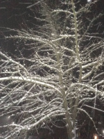 Приятный парень ищет девушку – Фото 1