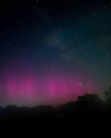 Ищу разнообразие – Фото 1