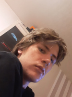 Молодой жеребец – Фото 1